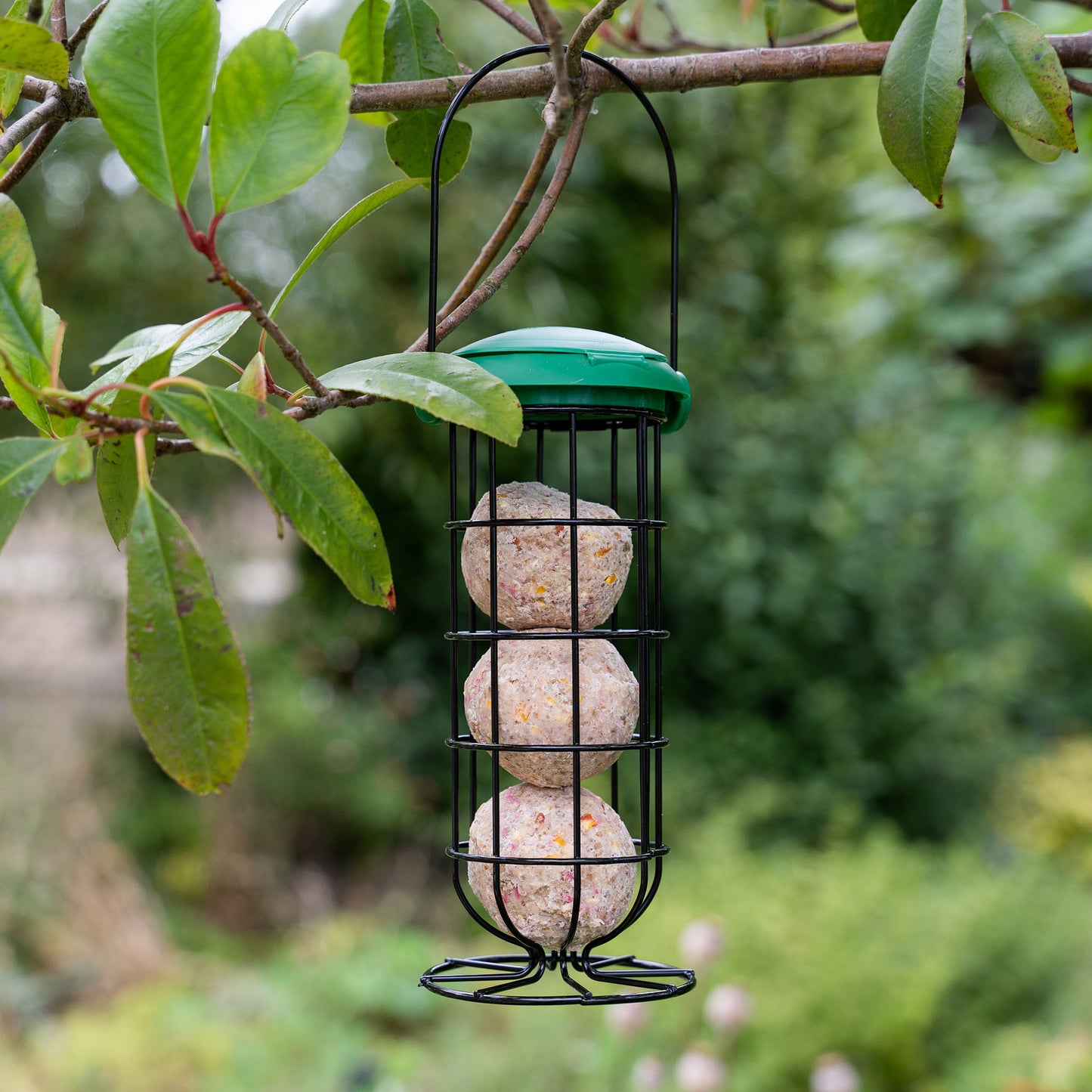 Gardman Flip Top Fat Snax Feeder - Wild Bird Feeders – Peckish Uk