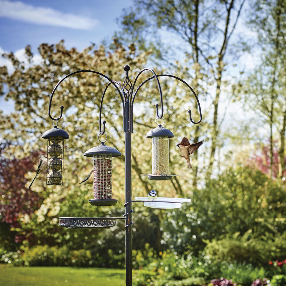 Gardman Feeding Stations & Tables Bird Feeders Peckish UK