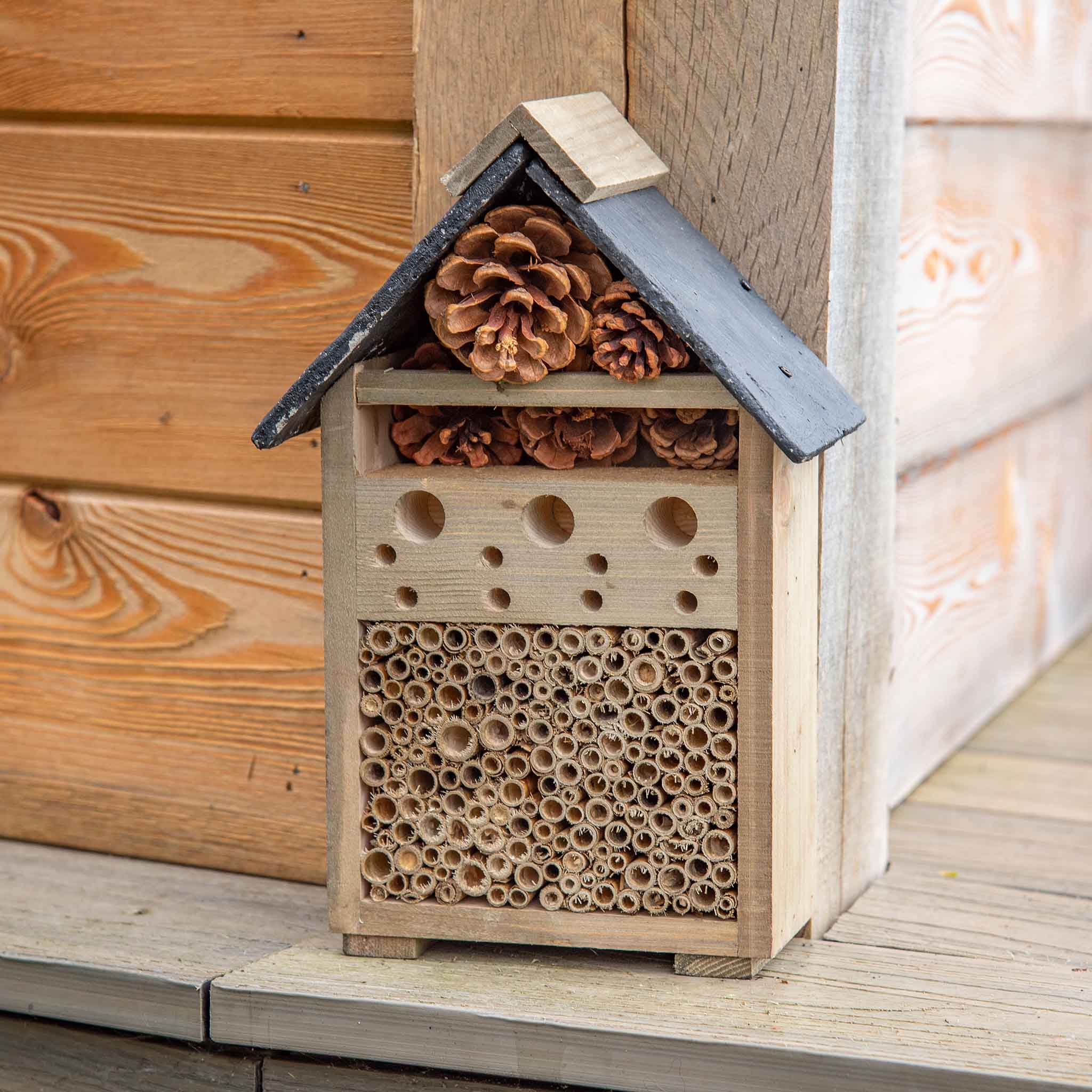 Gardman Bee & Bug House - Wildlife – Peckish UK