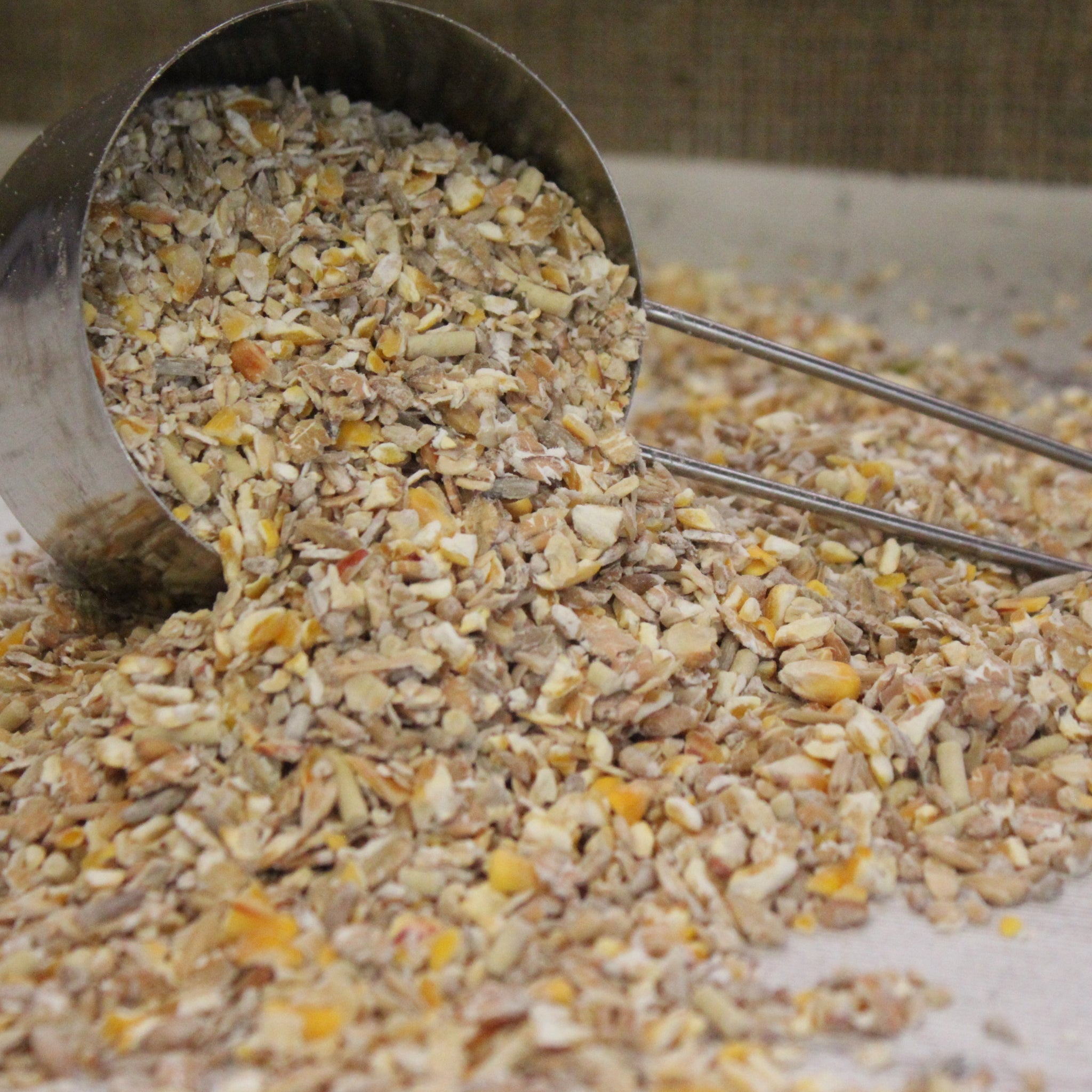 Bird Seed Mixes Bird Food Peckish UK