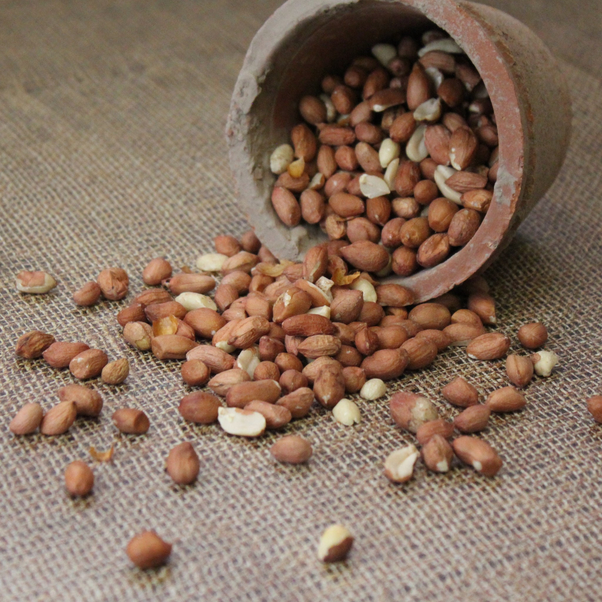 Peckish Peanuts Wild Bird Food Peckish UK